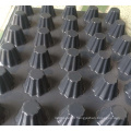 Construction Black 8 MM HDPE Plastic Dimple Drainage Board for Roof Garden